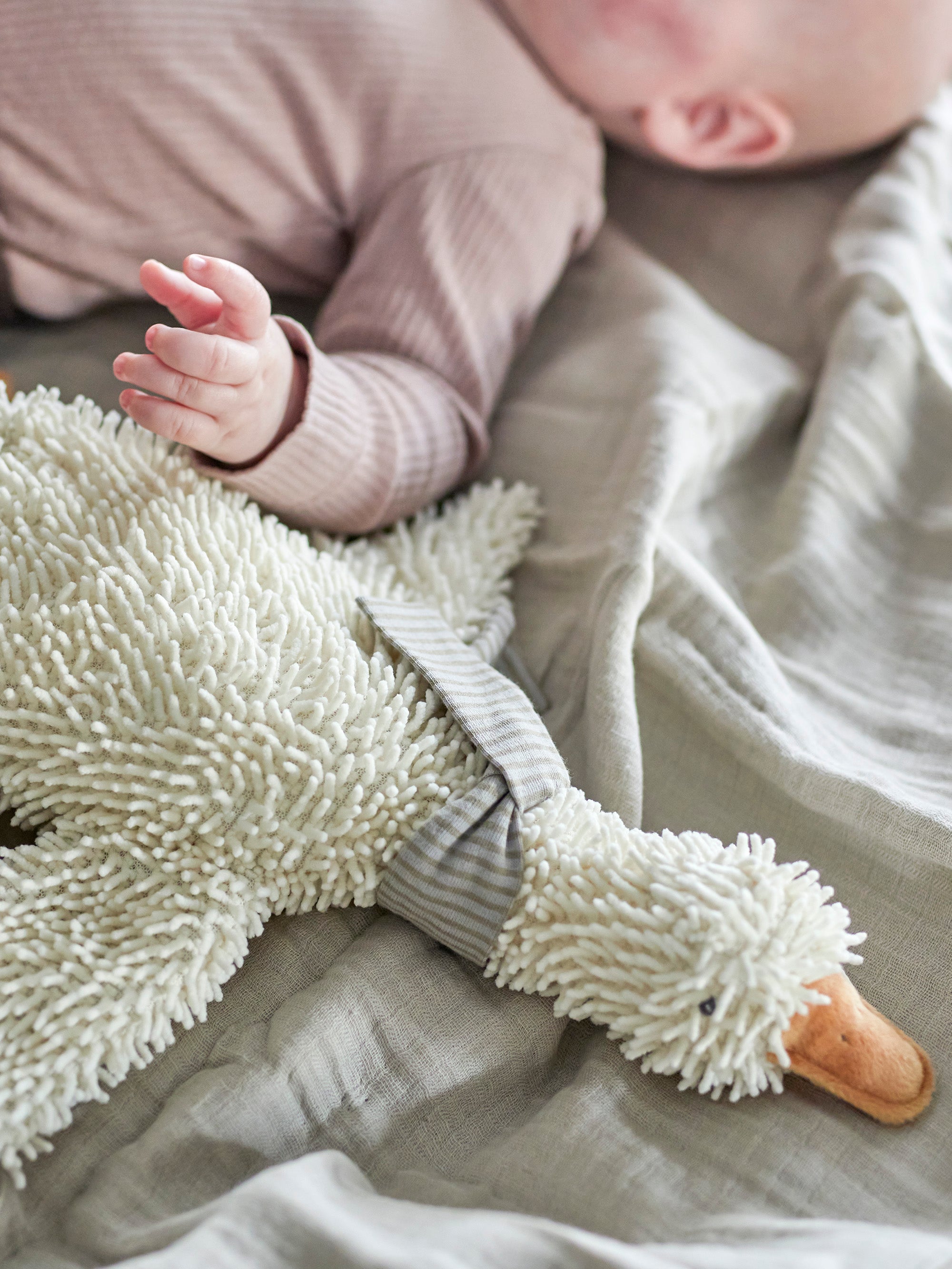 Kuscheltier Gans