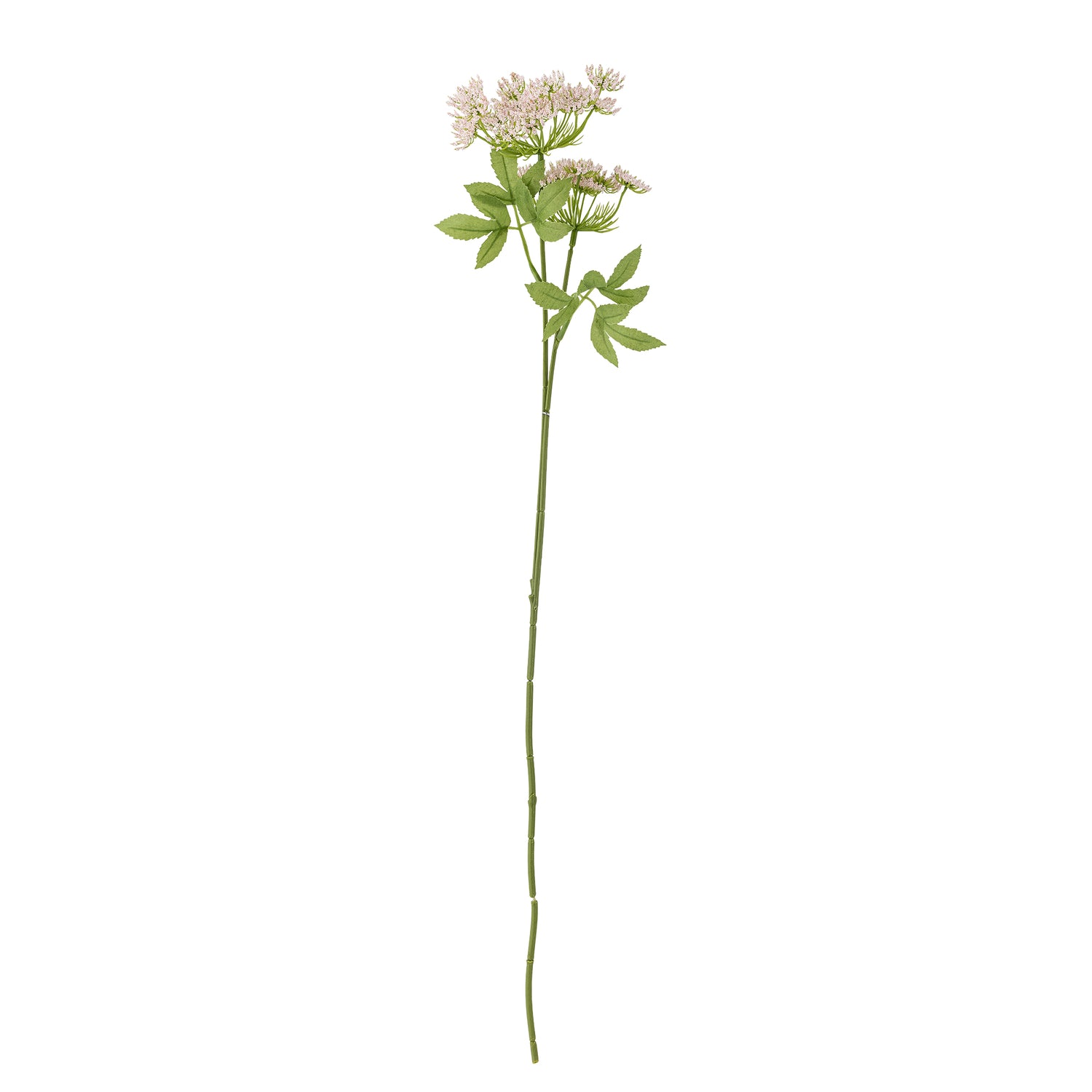 Kunstblume I Fenchel - Bloomingville