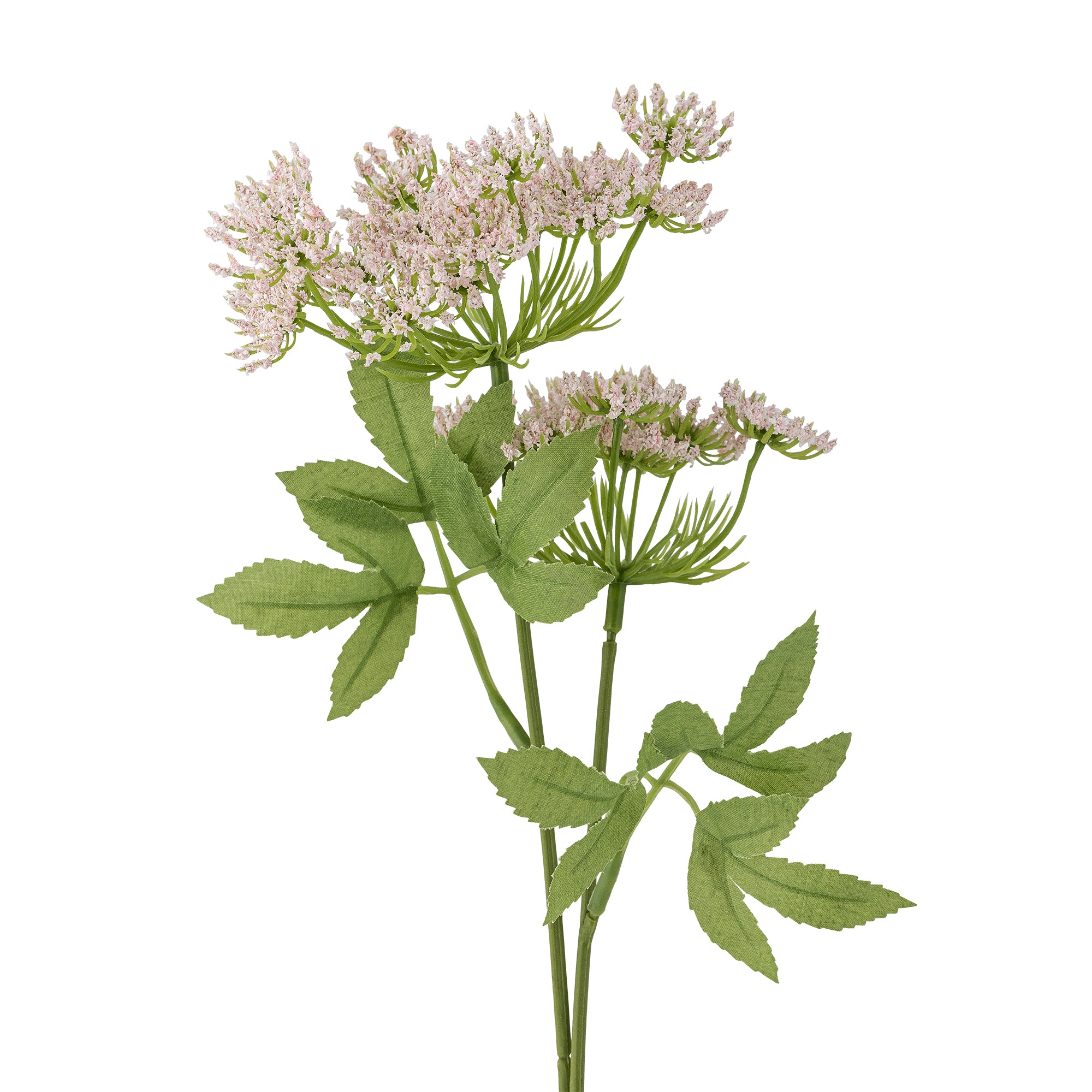 Kunstblume I Fenchel - Bloomingville