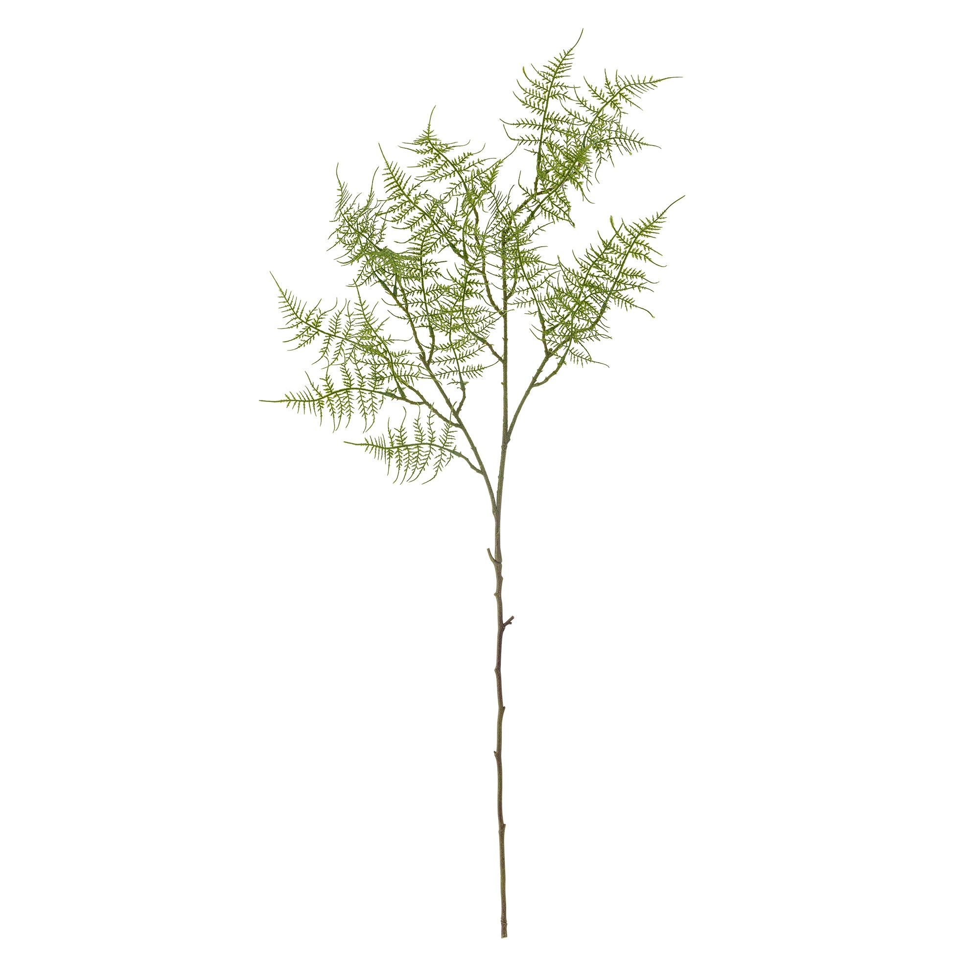 Kunstblumen I Farn - Bloomingville