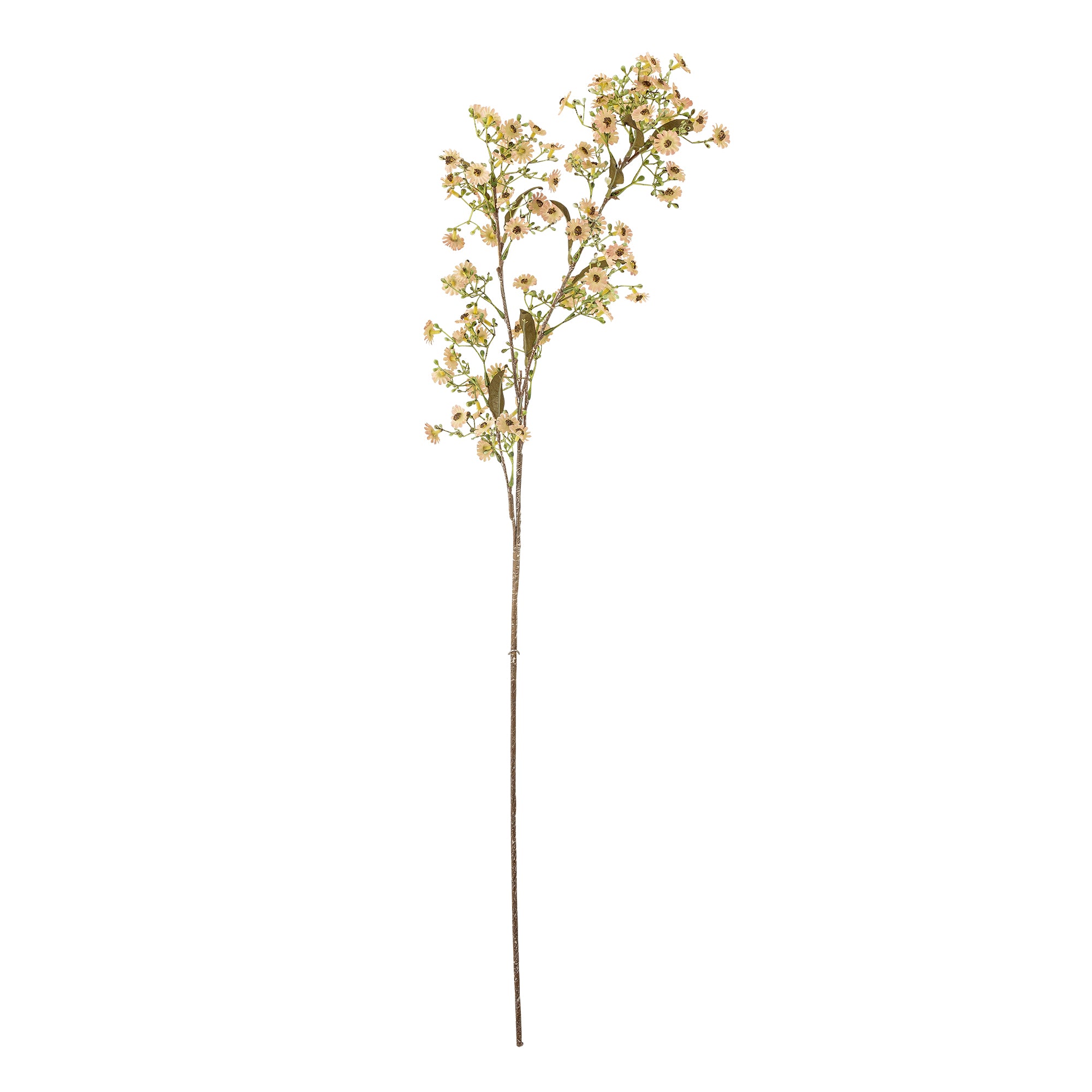 Kunstblumen I Wachsblume - Bloomingville