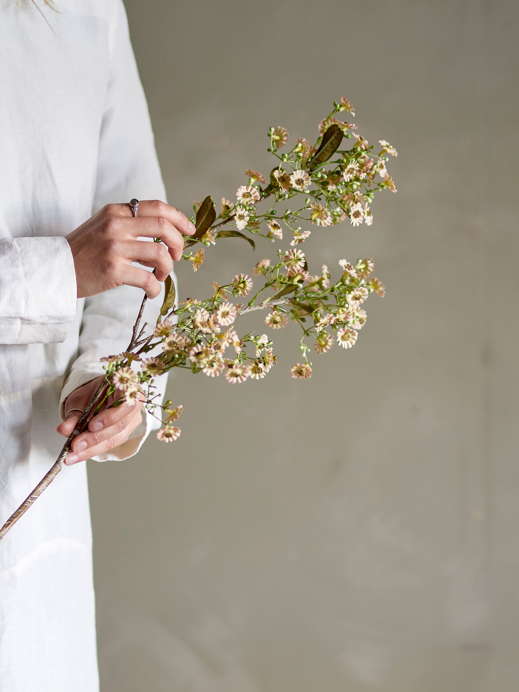 Kunstblumen I Wachsblume - Bloomingville