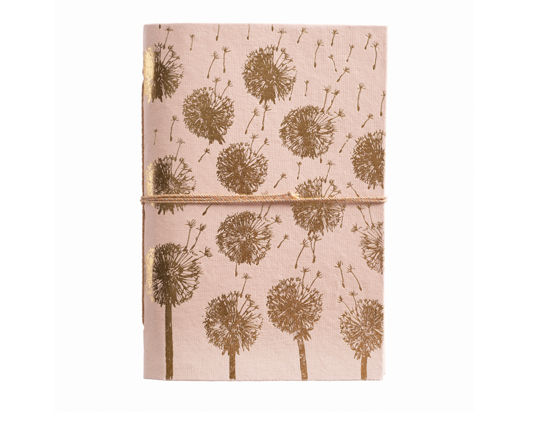 Sketchbook I Pusteblume