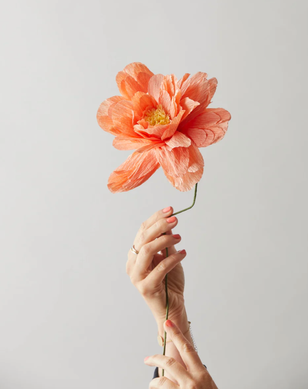 Papierblume PFINGSTROSE I Pfirsich