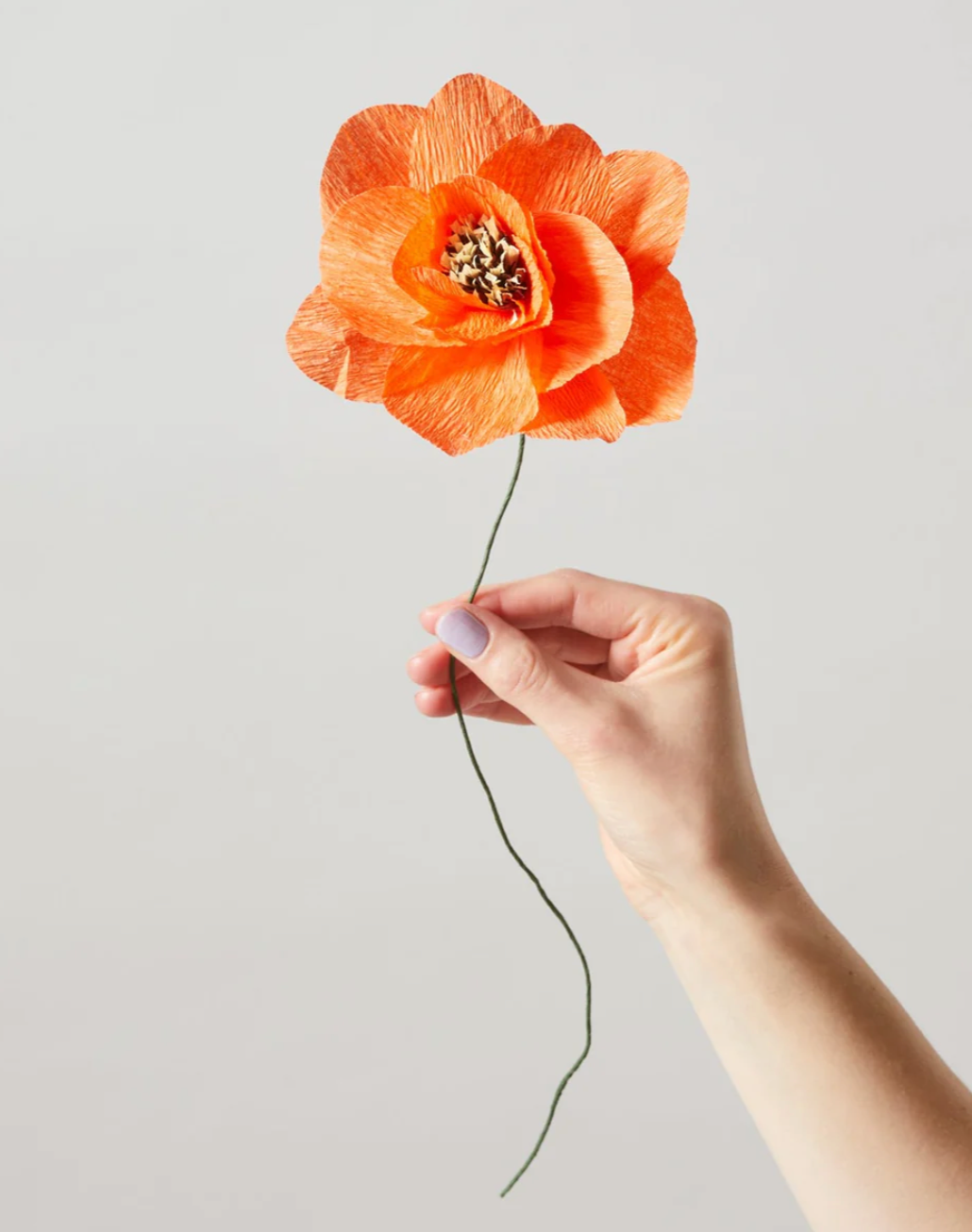 Papierblume Poppy I rot