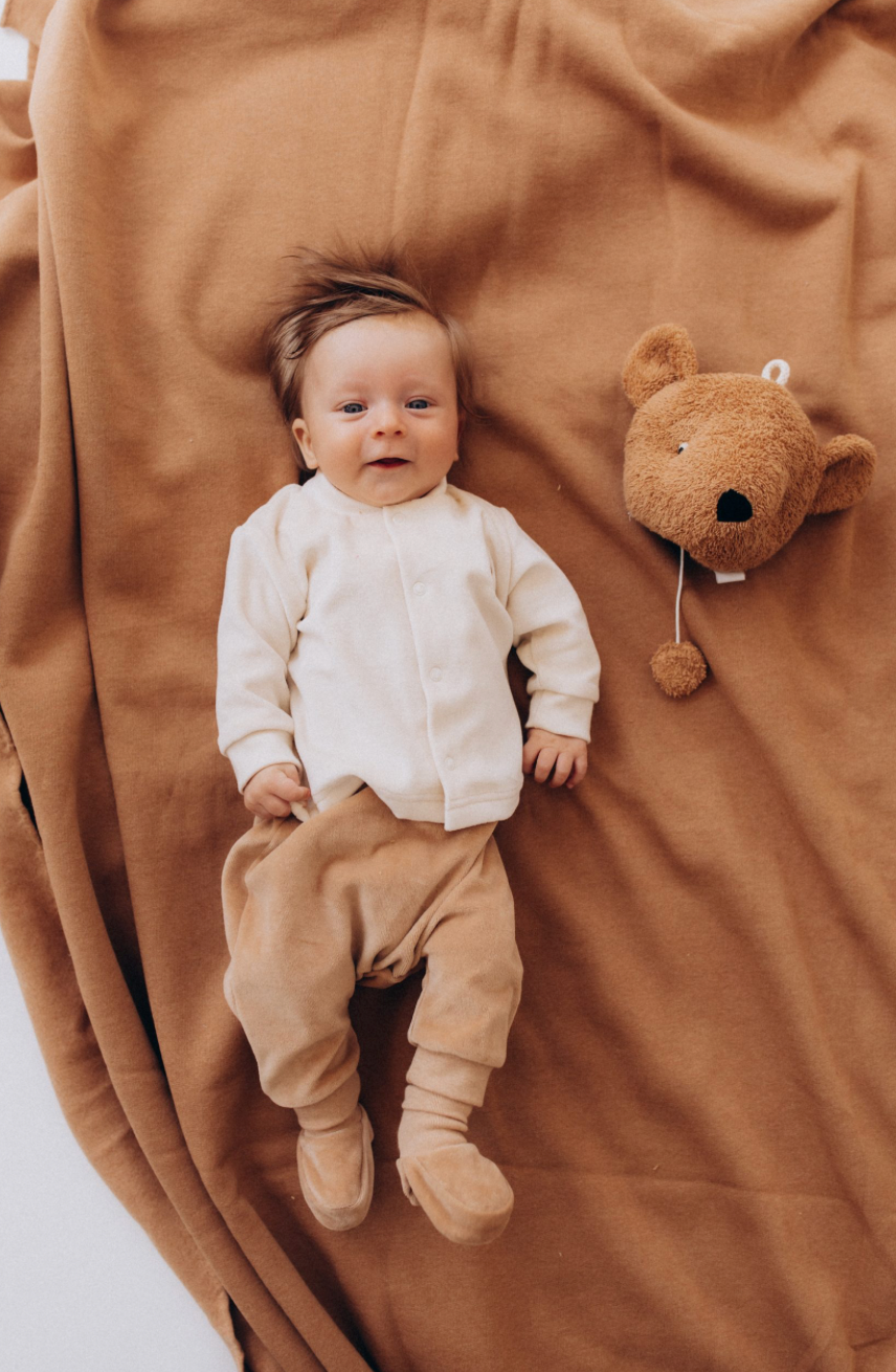 Teddy Spieluhr
