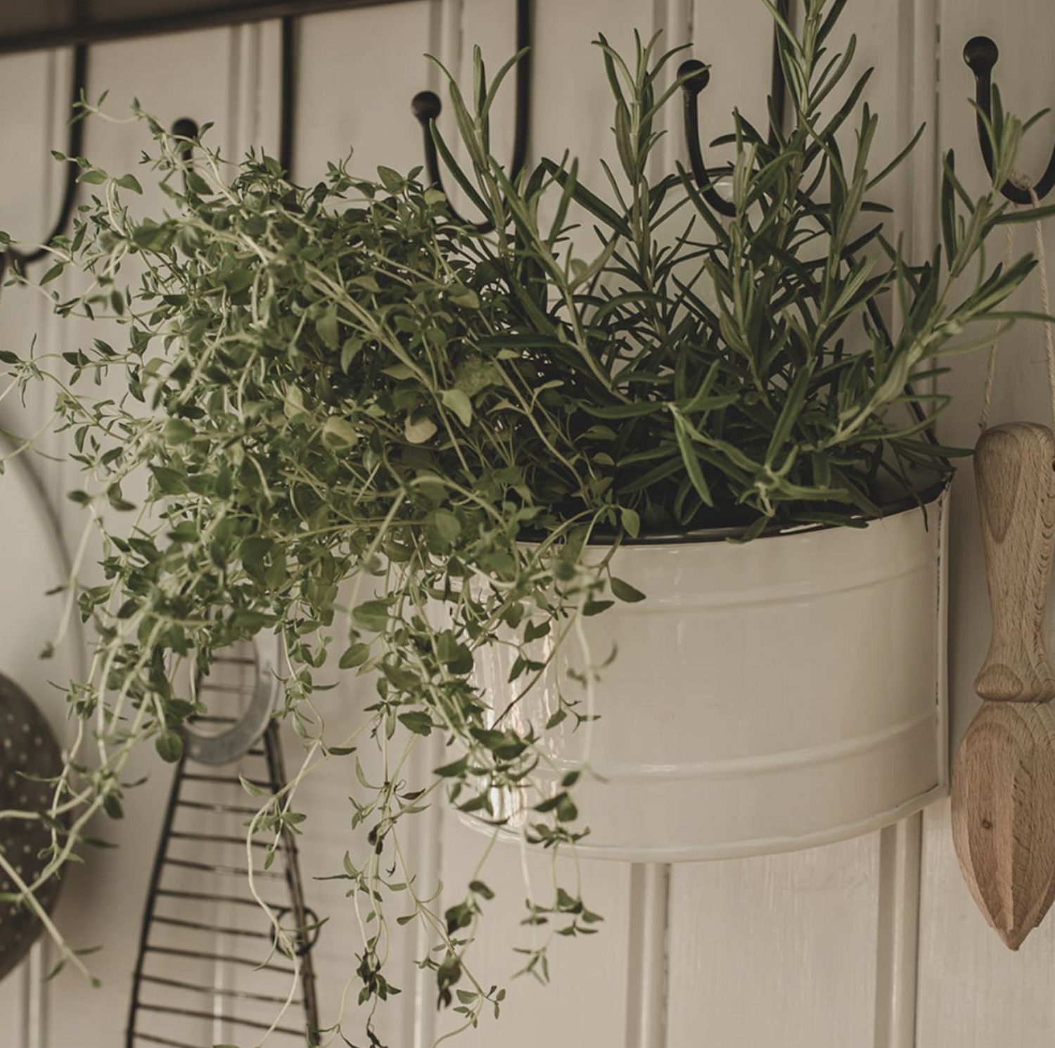 Olle Wallplanter - groß