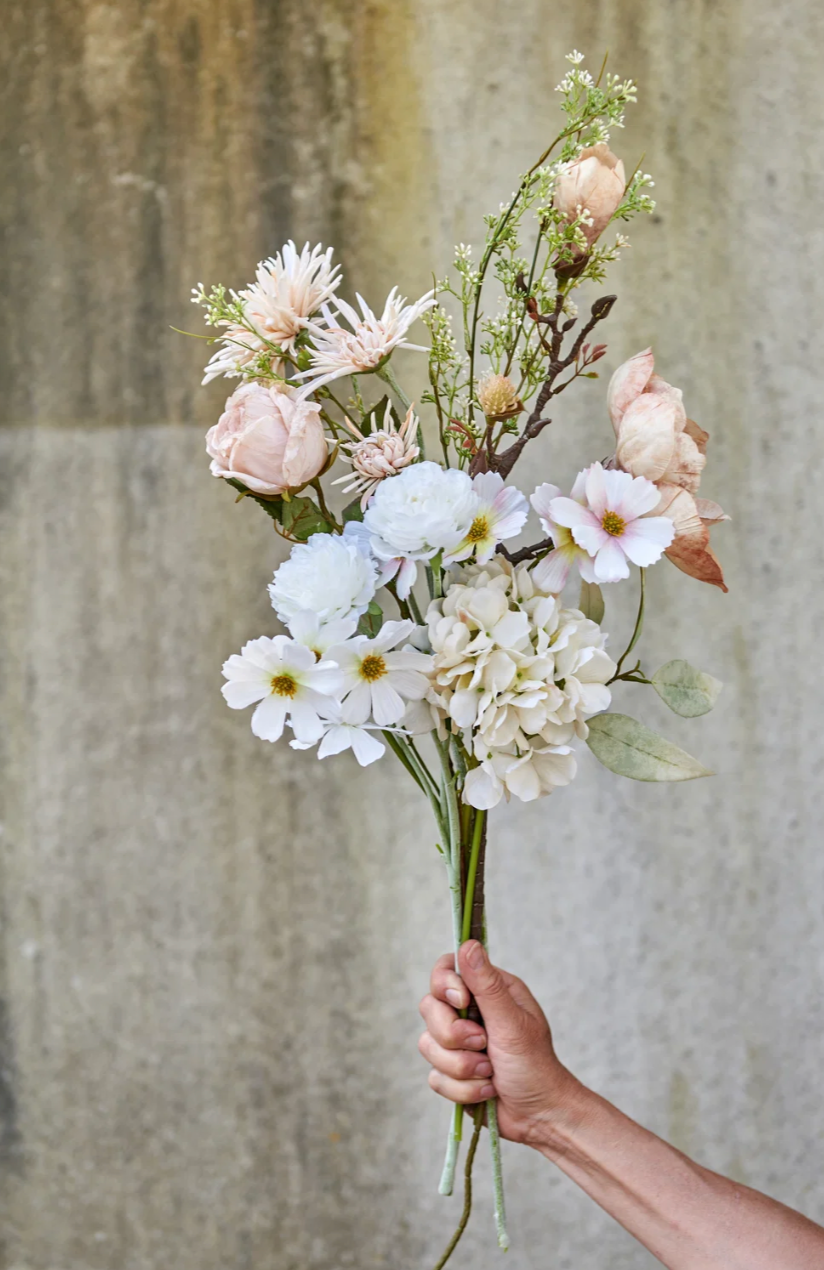 Blumen - Cosmos bipinnatus