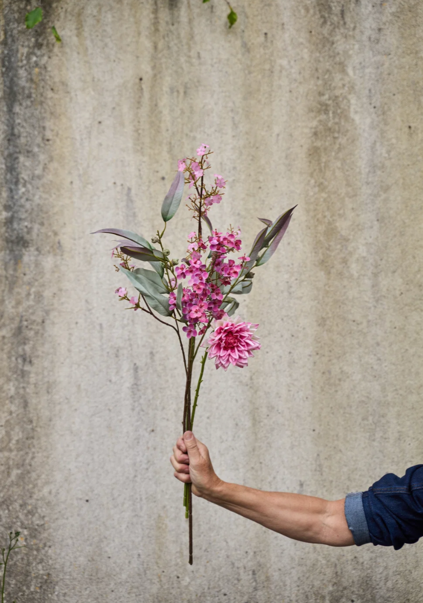 Blumen - Dahlie
