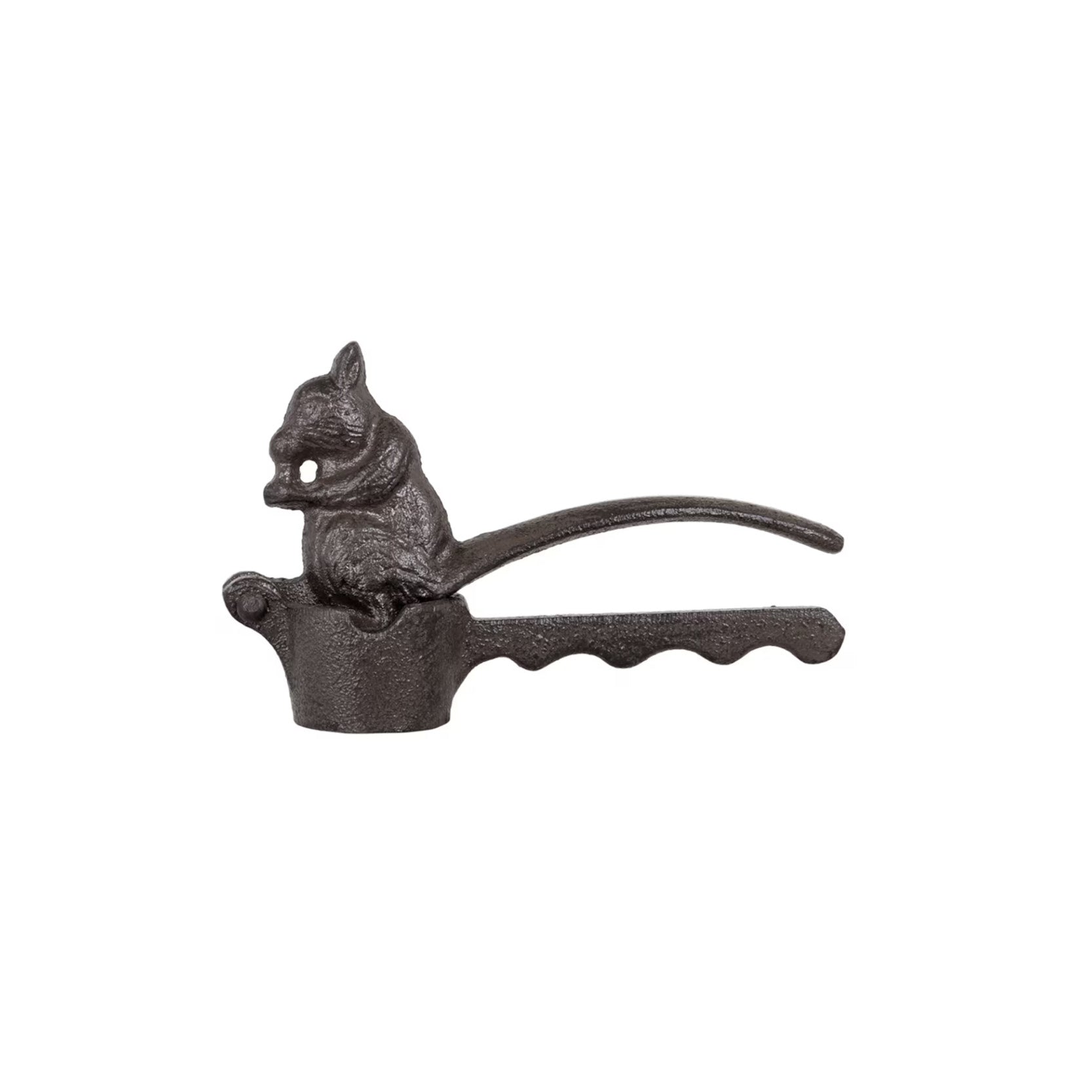 Eichhörnchen Nussknacker