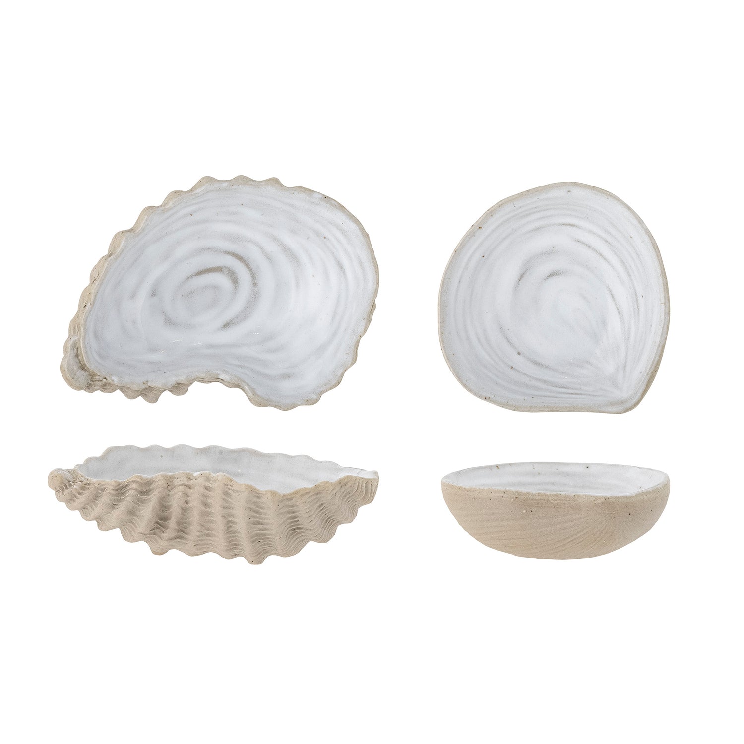 Muschelschale