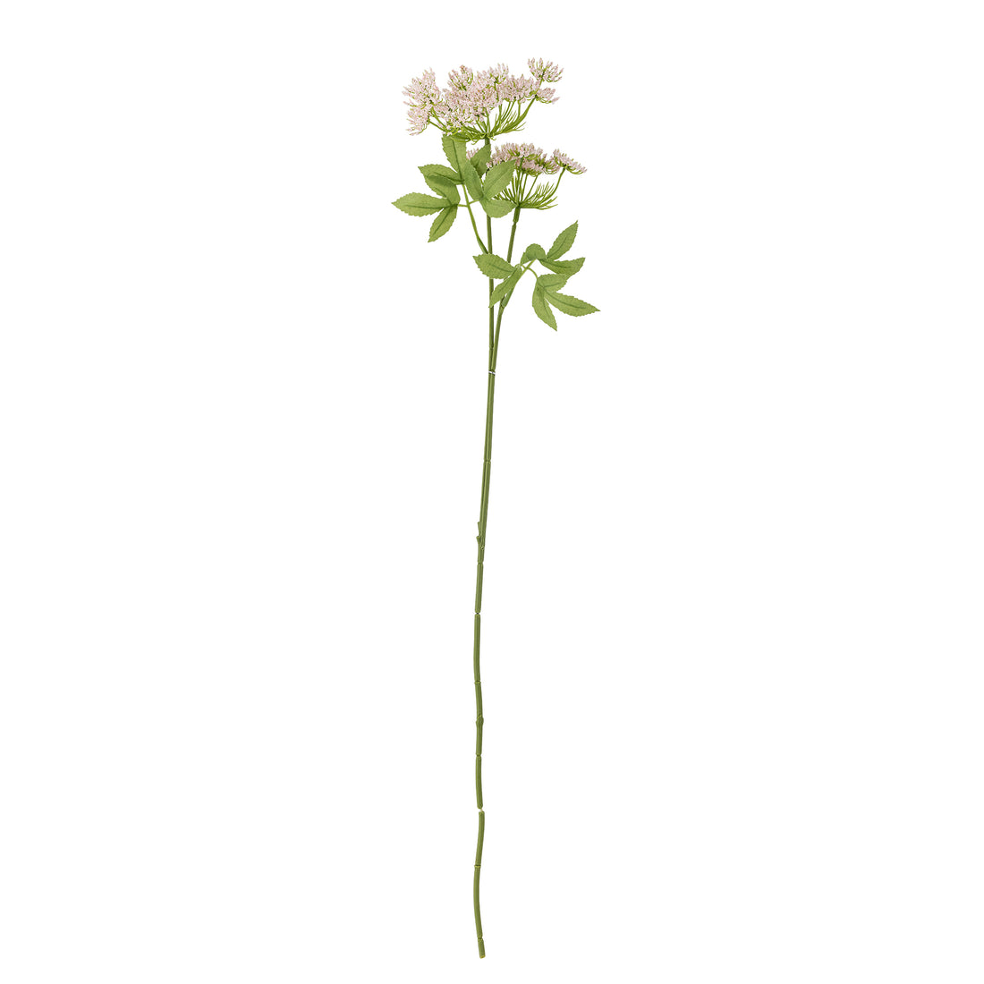 Kunstblume I Fenchel - Bloomingville