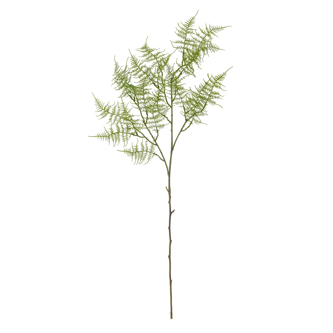 Kunstblumen I Farn - Bloomingville