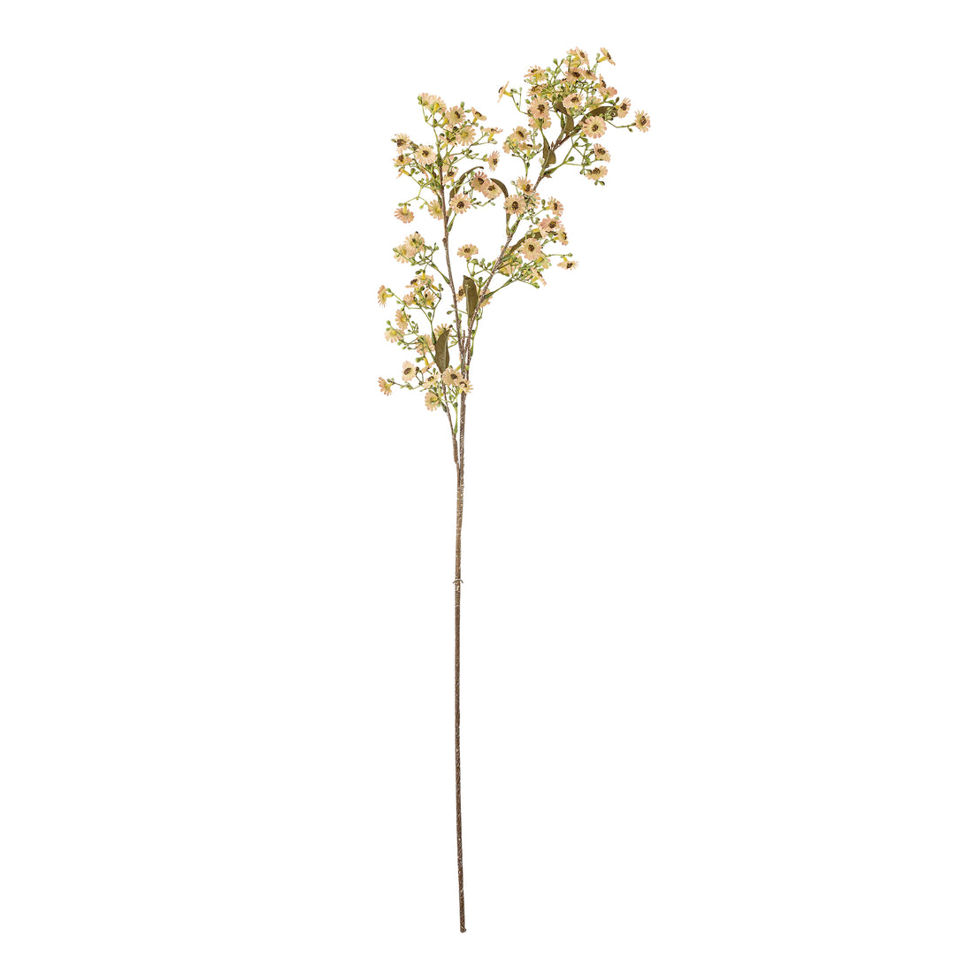 Kunstblumen I Wachsblume - Bloomingville