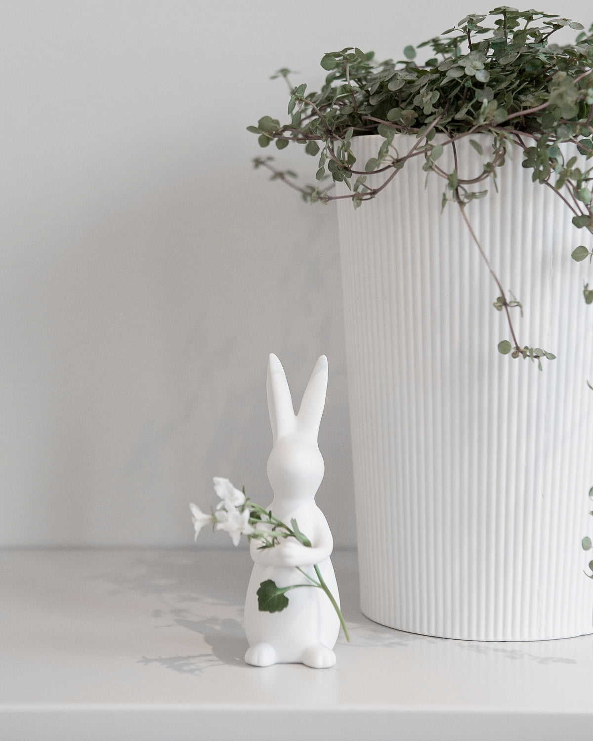 Deko Hase I IDA