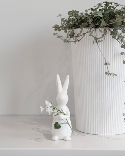 Deko Hase I IDA