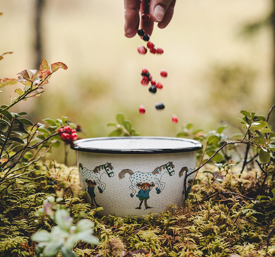 Pippi Langstrumpf Schale  I gr