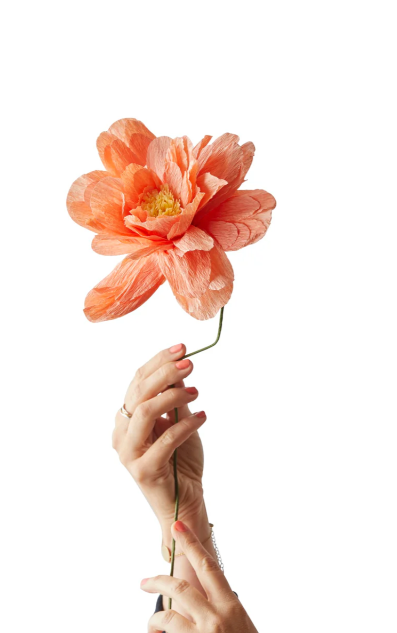 Papierblume PFINGSTROSE I Pfirsich