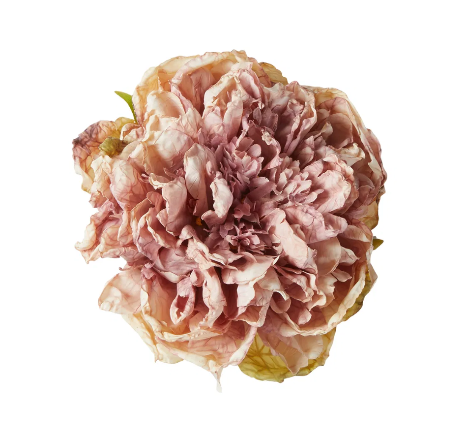 Blumenkopf mehrfabig