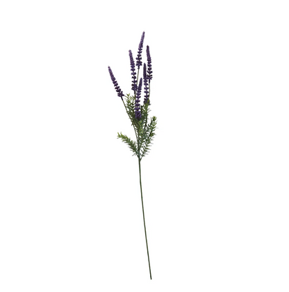 Blumen - Lavendel