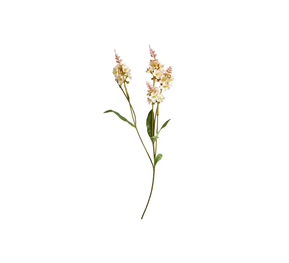 Blumen - Delphinium Stiel