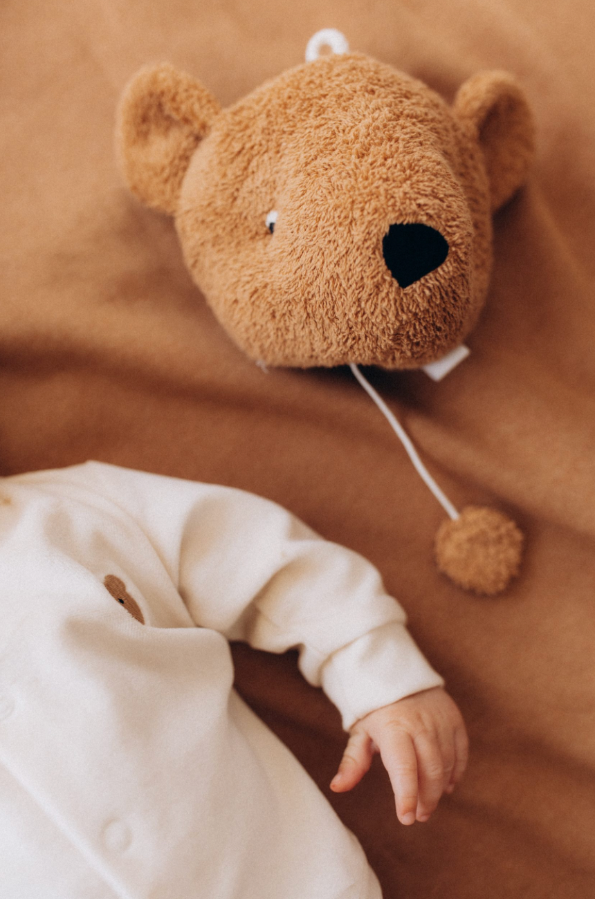 Teddy Spieluhr