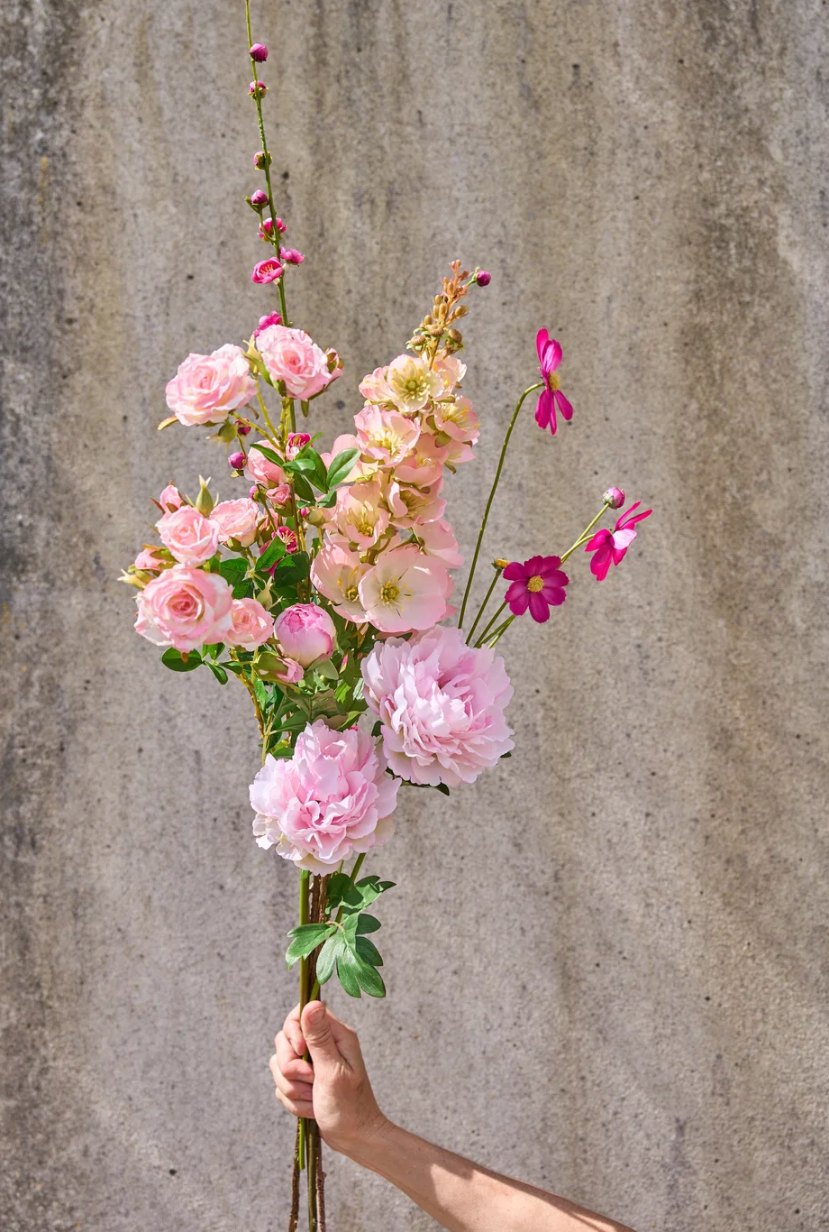 Blumen - Pfingstrose