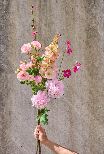 Blumen - Pfingstrose