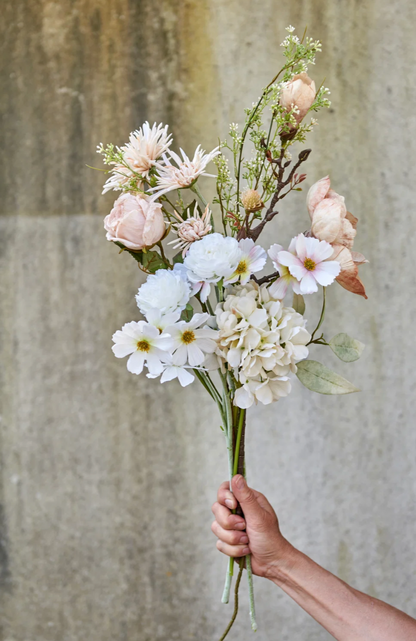 Blumen - Cosmos bipinnatus