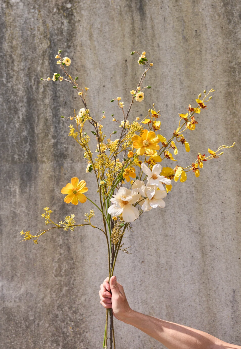 Blumen - Butterblume