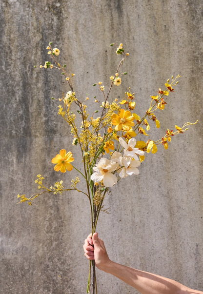 Blumen - Butterblume