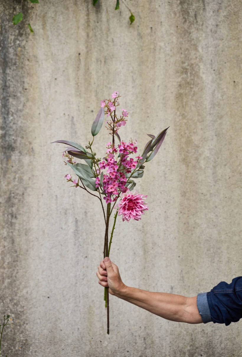 Blumen - Mini Orchidee