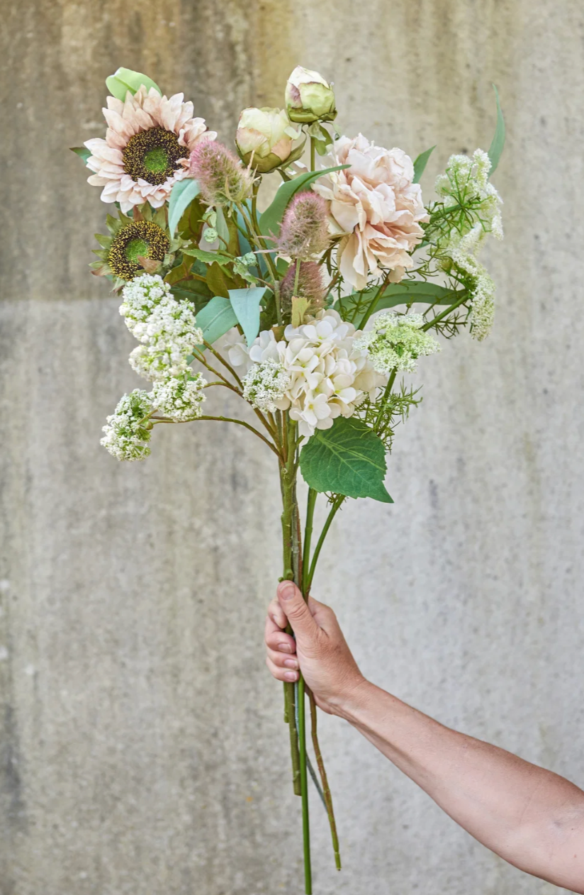 Blumen - wild Möhre